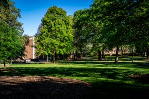 University of Georgia   Athens GA 06328